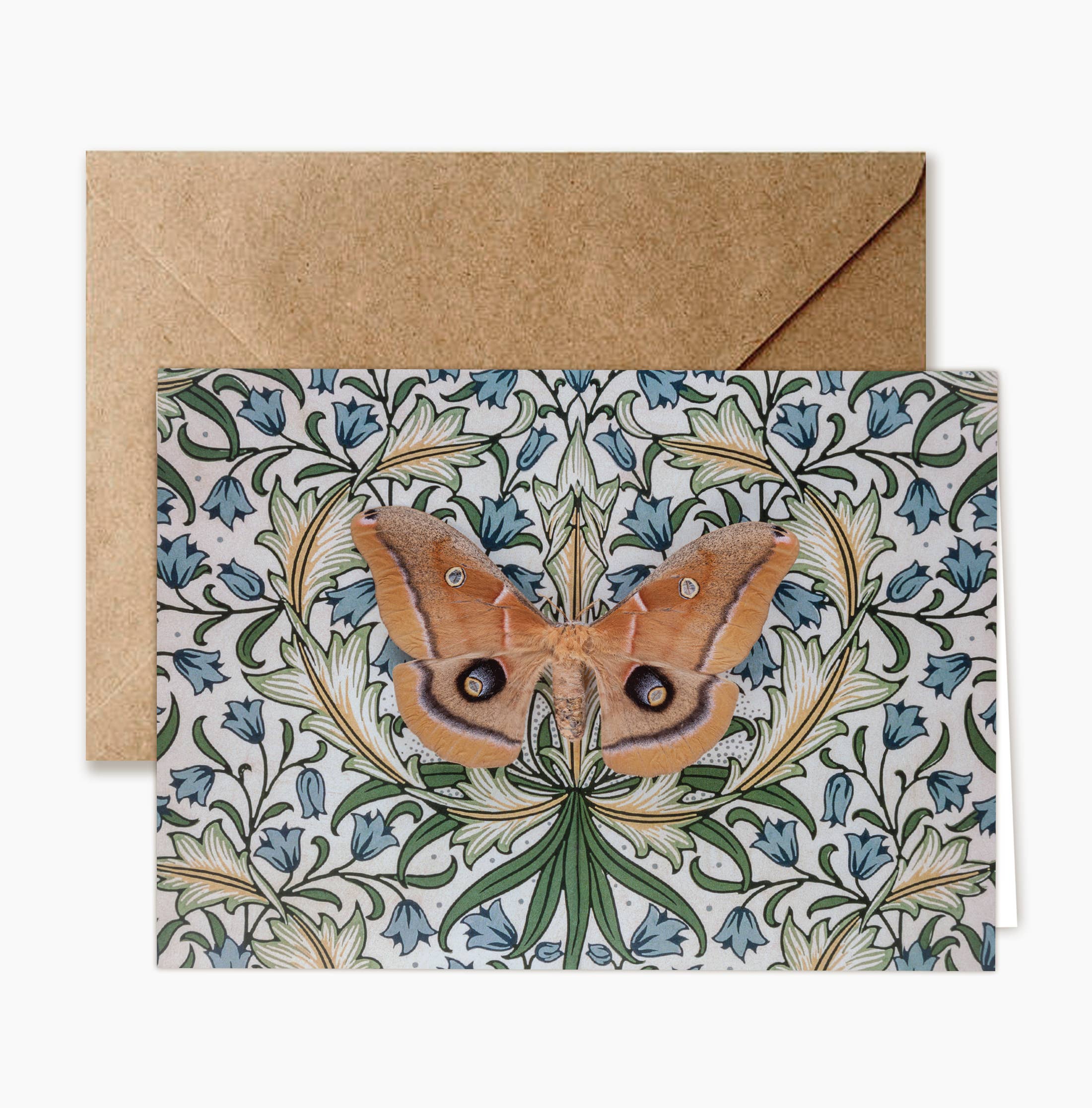 Insect Art Notecard Set of 8