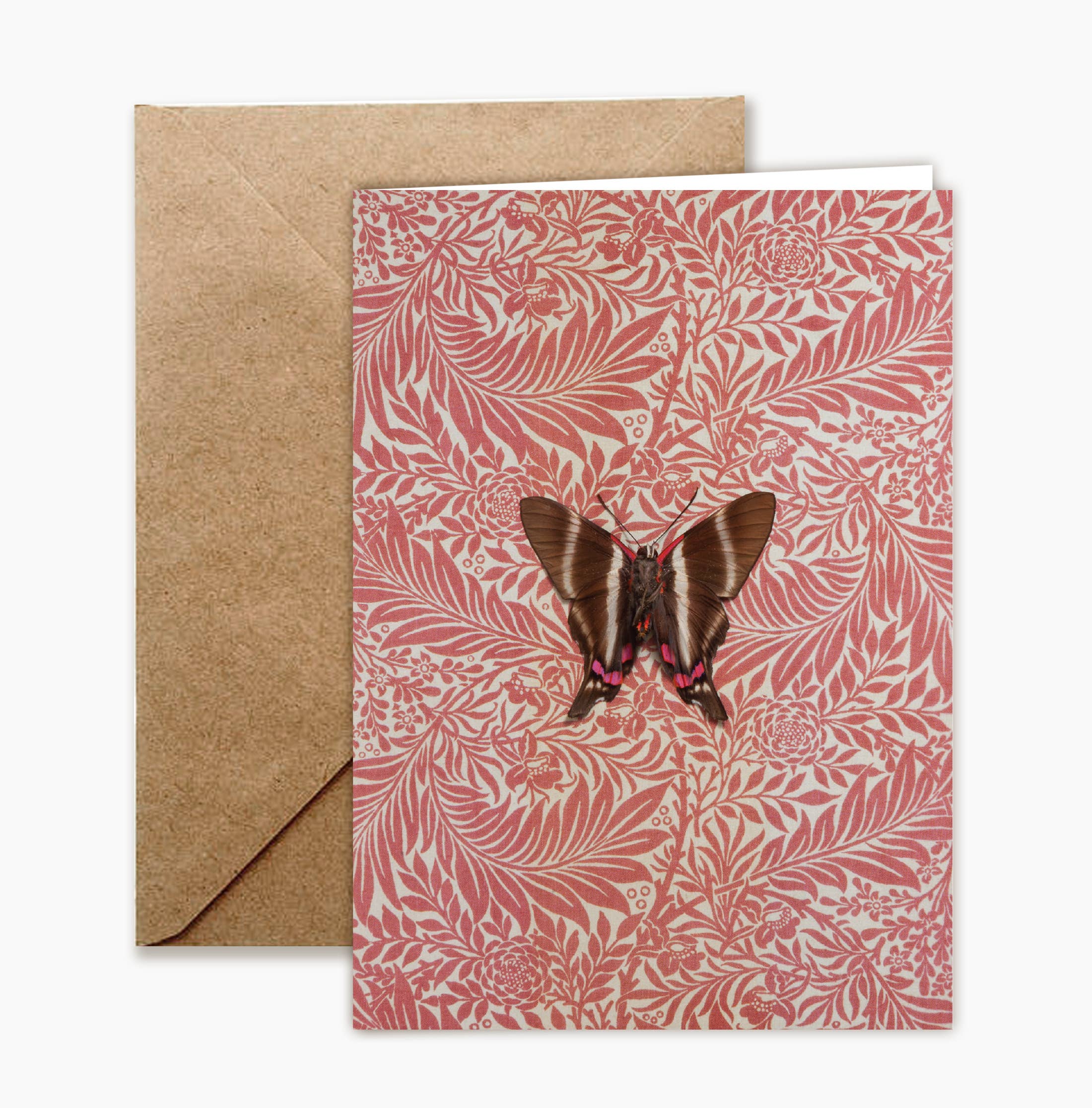 Insect Art Notecard Set of 8