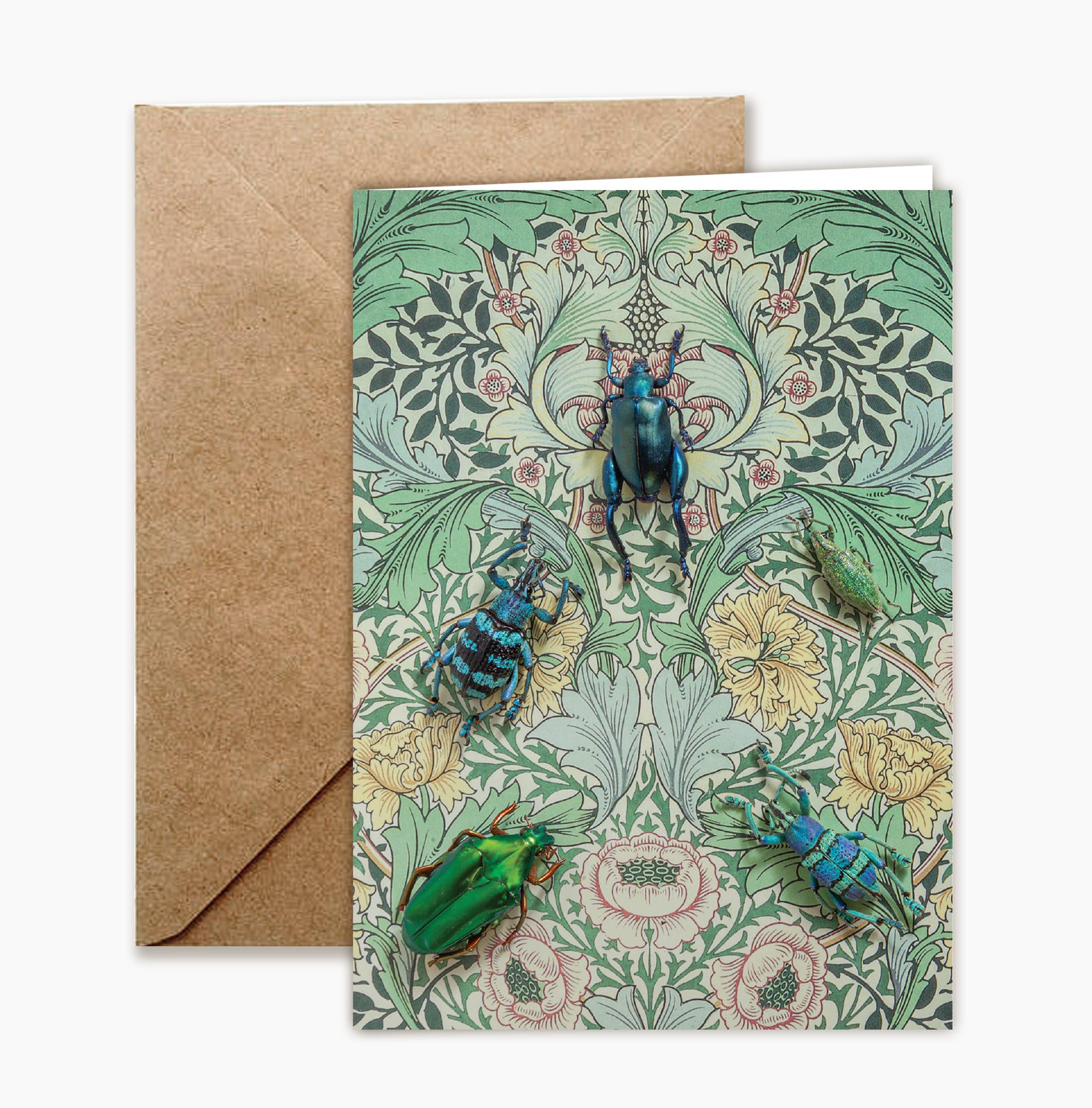 Insect Art Notecard Set of 8