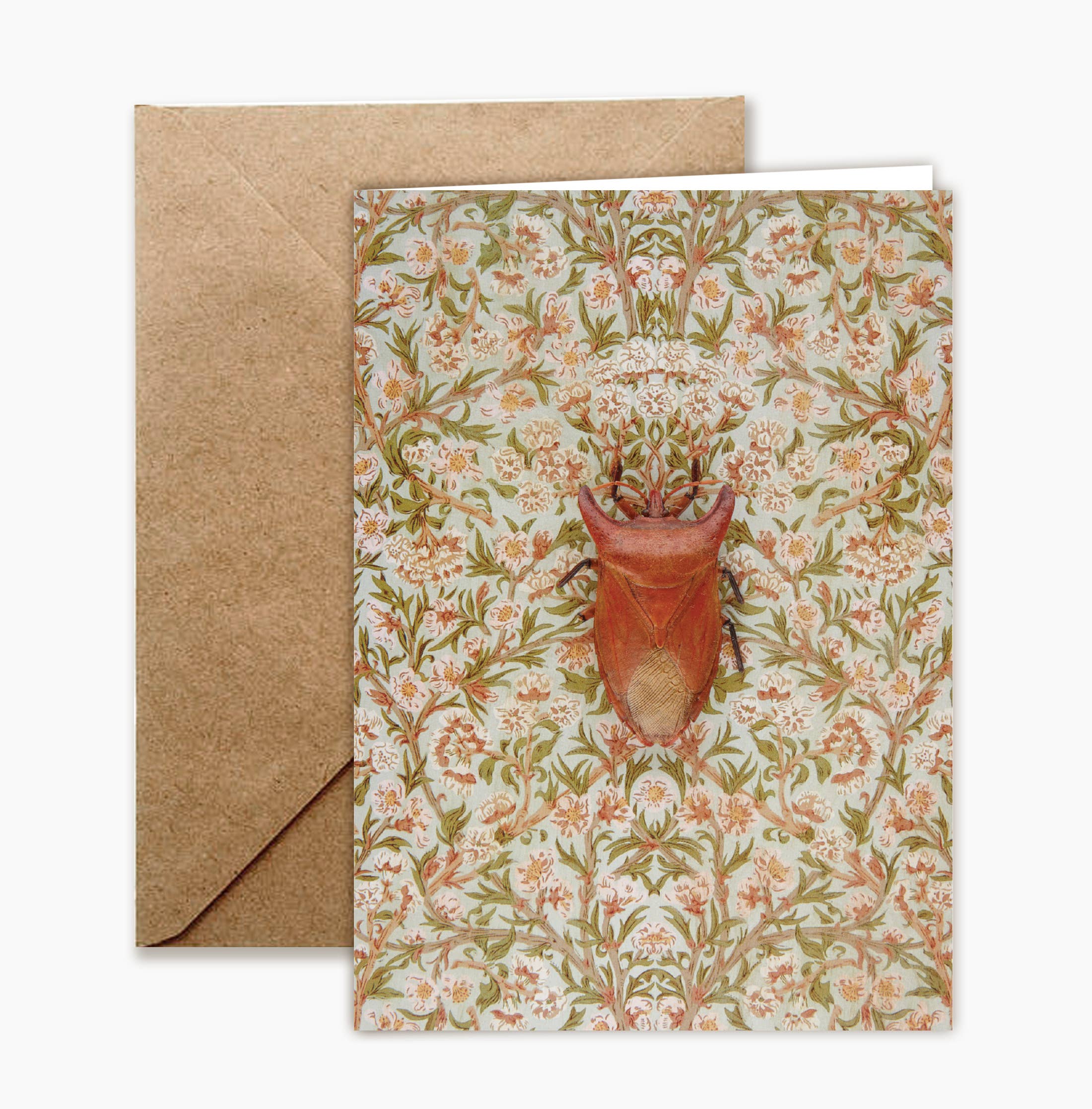Insect Art Notecard Set of 8