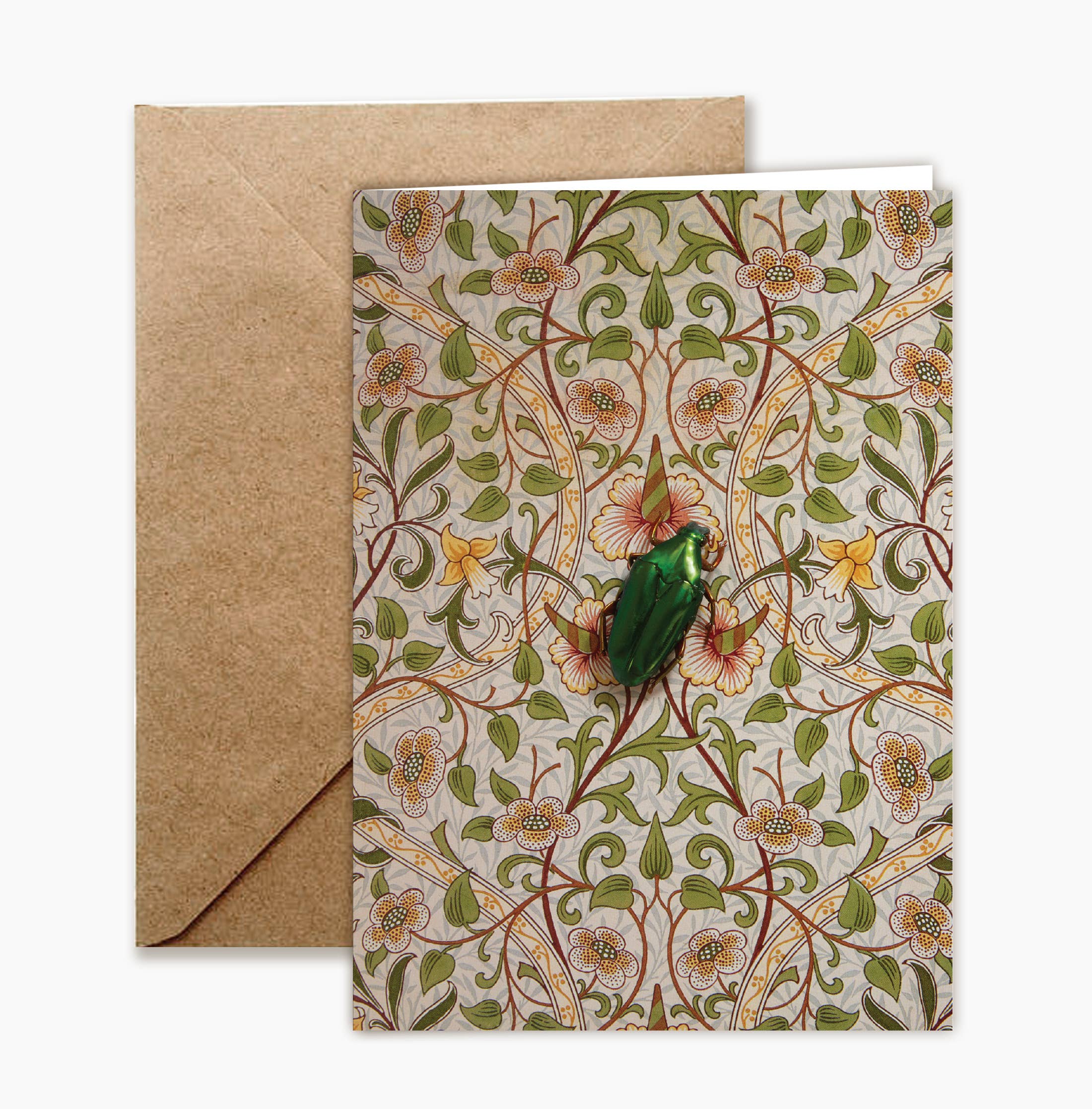 Insect Art Notecard Set of 8