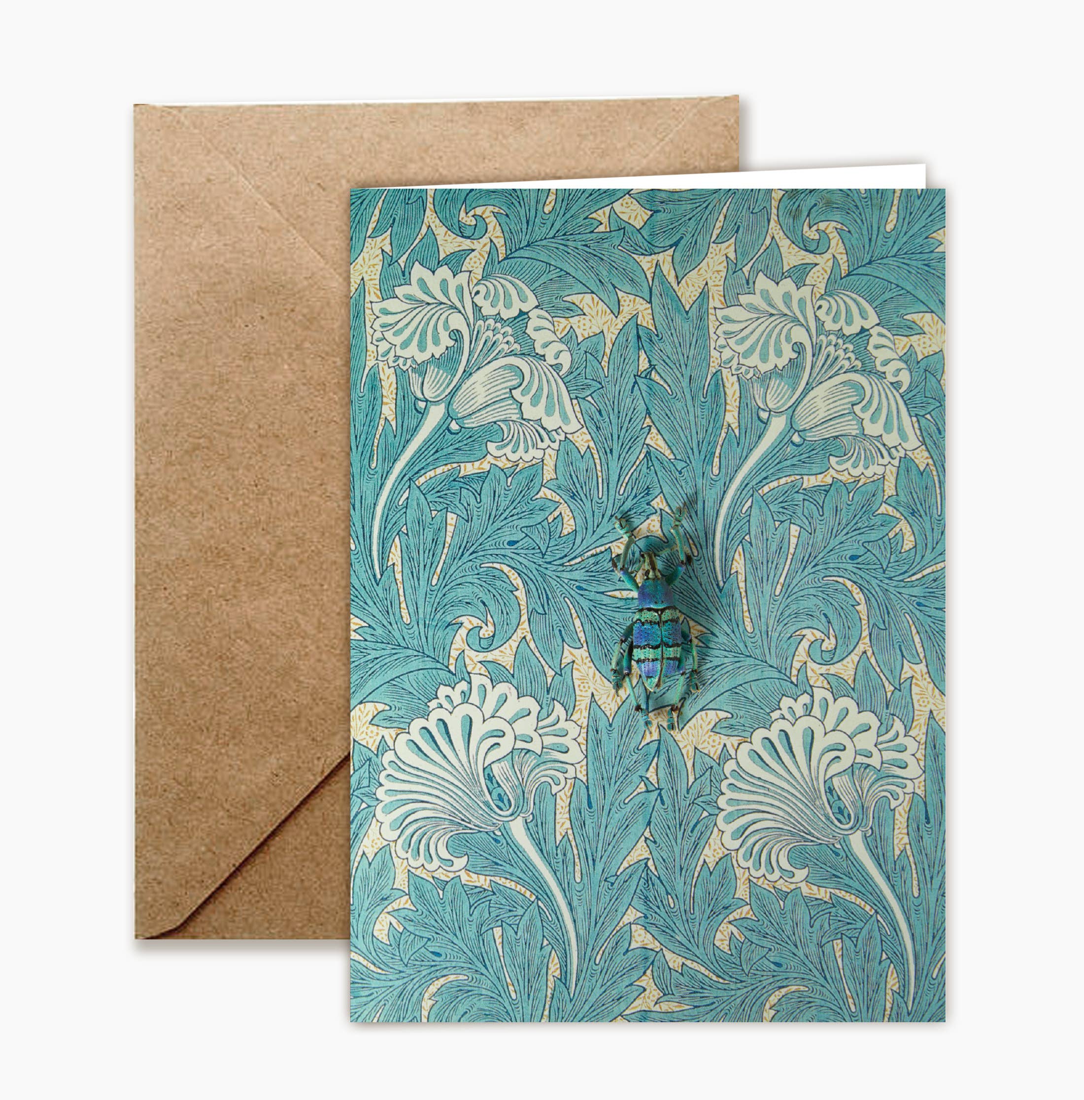 Insect Art Notecard Set of 8