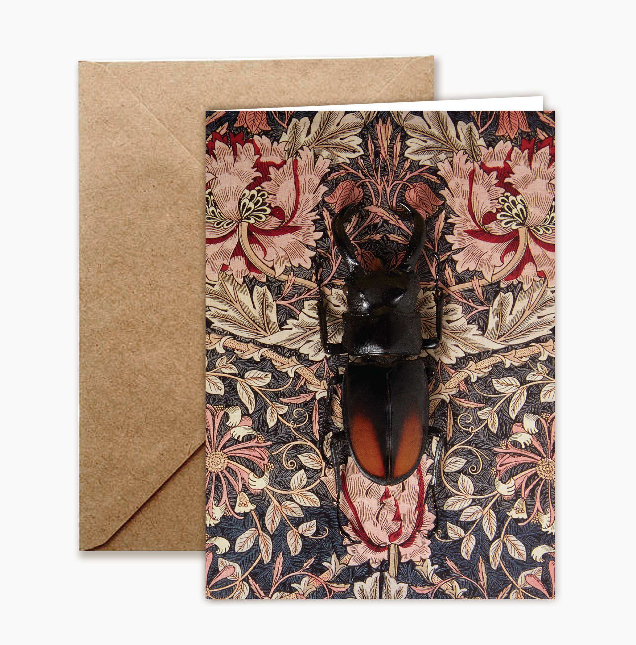 Insect Art Notecard Set of 8