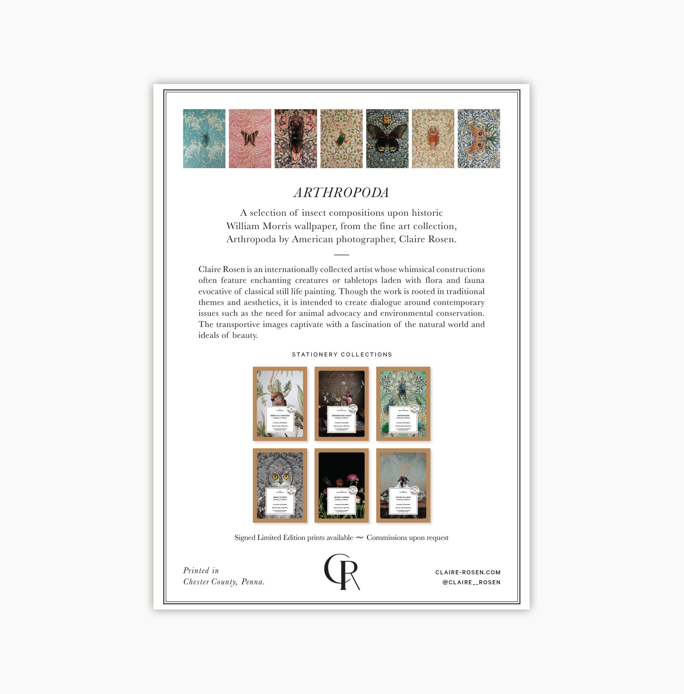 Insect Art Notecard Set of 8