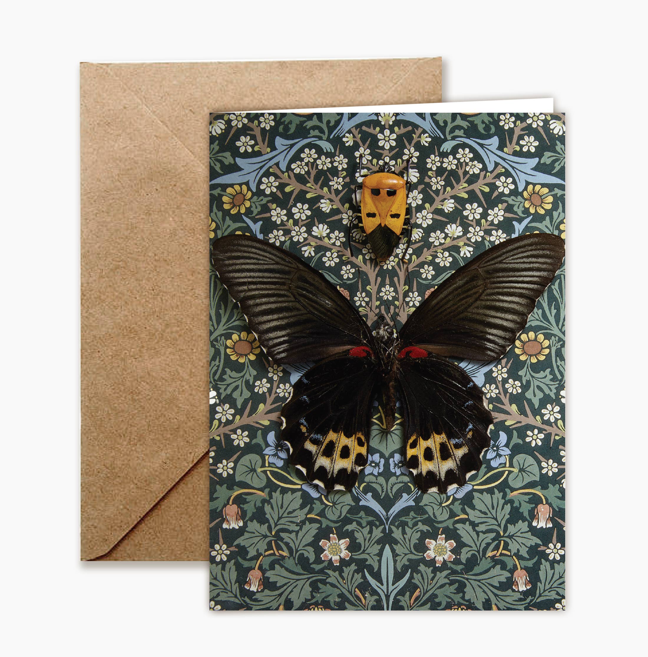 Insect Art Notecard Set of 8