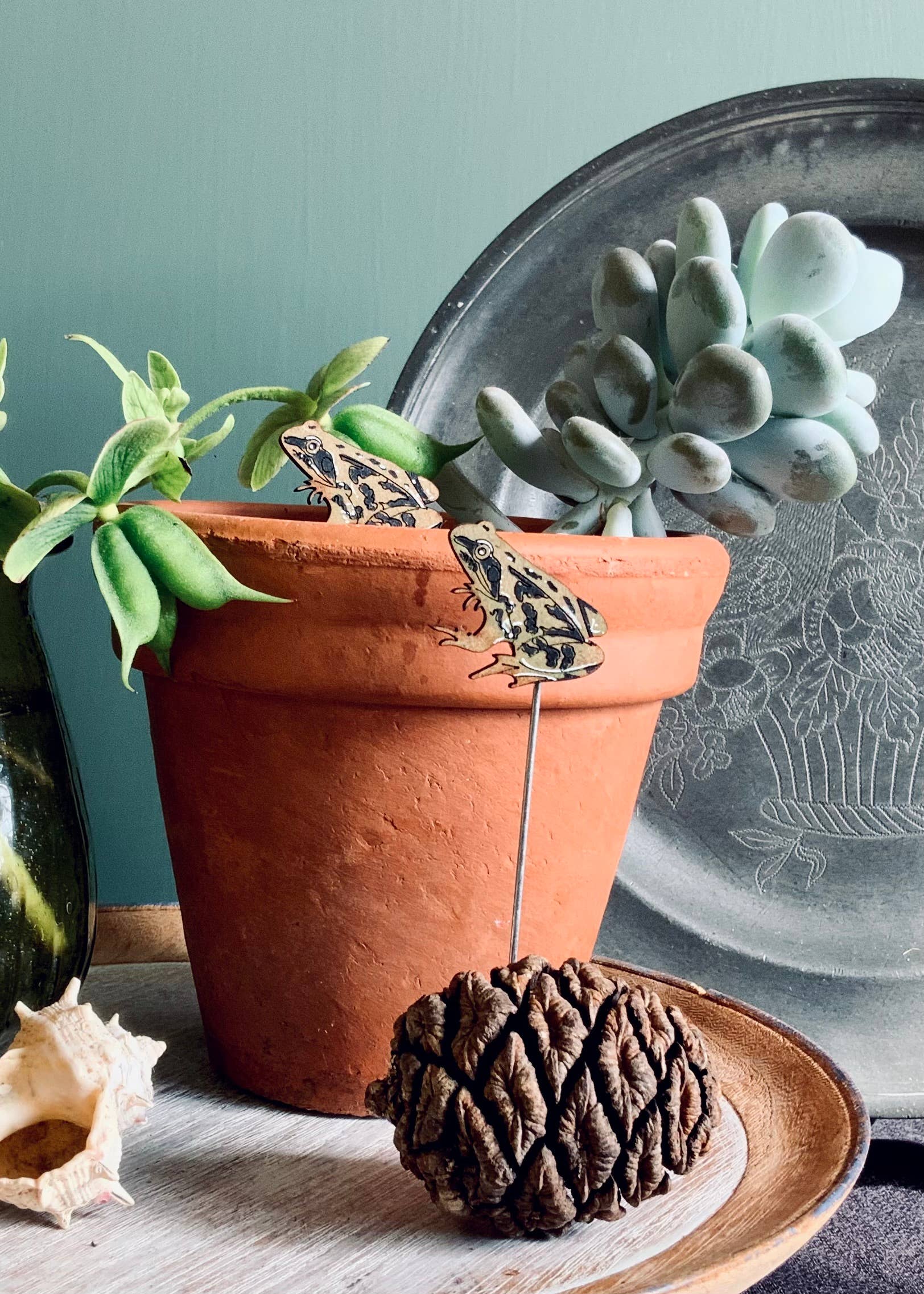 Frog Plant Pot Companions