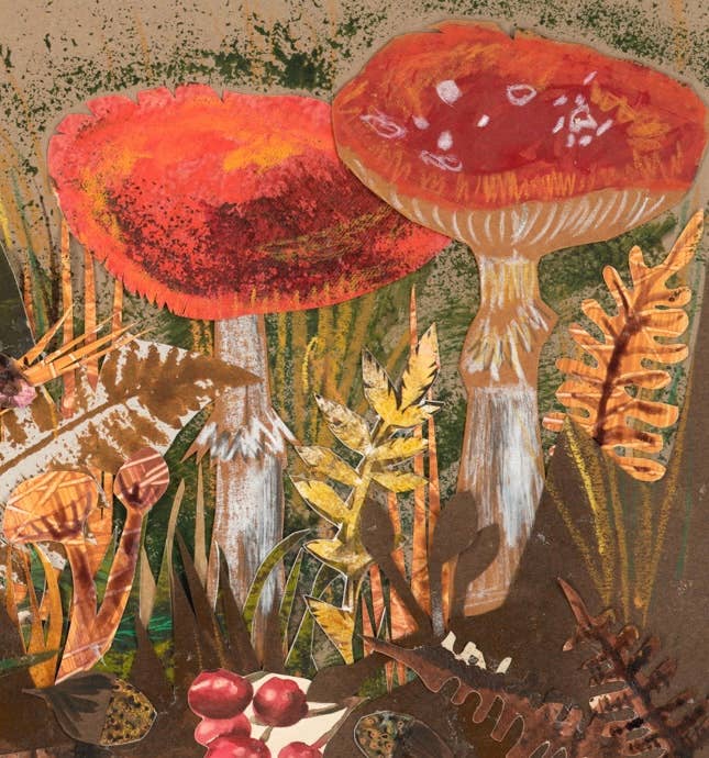 Fly Agaric Blank Greeting Card