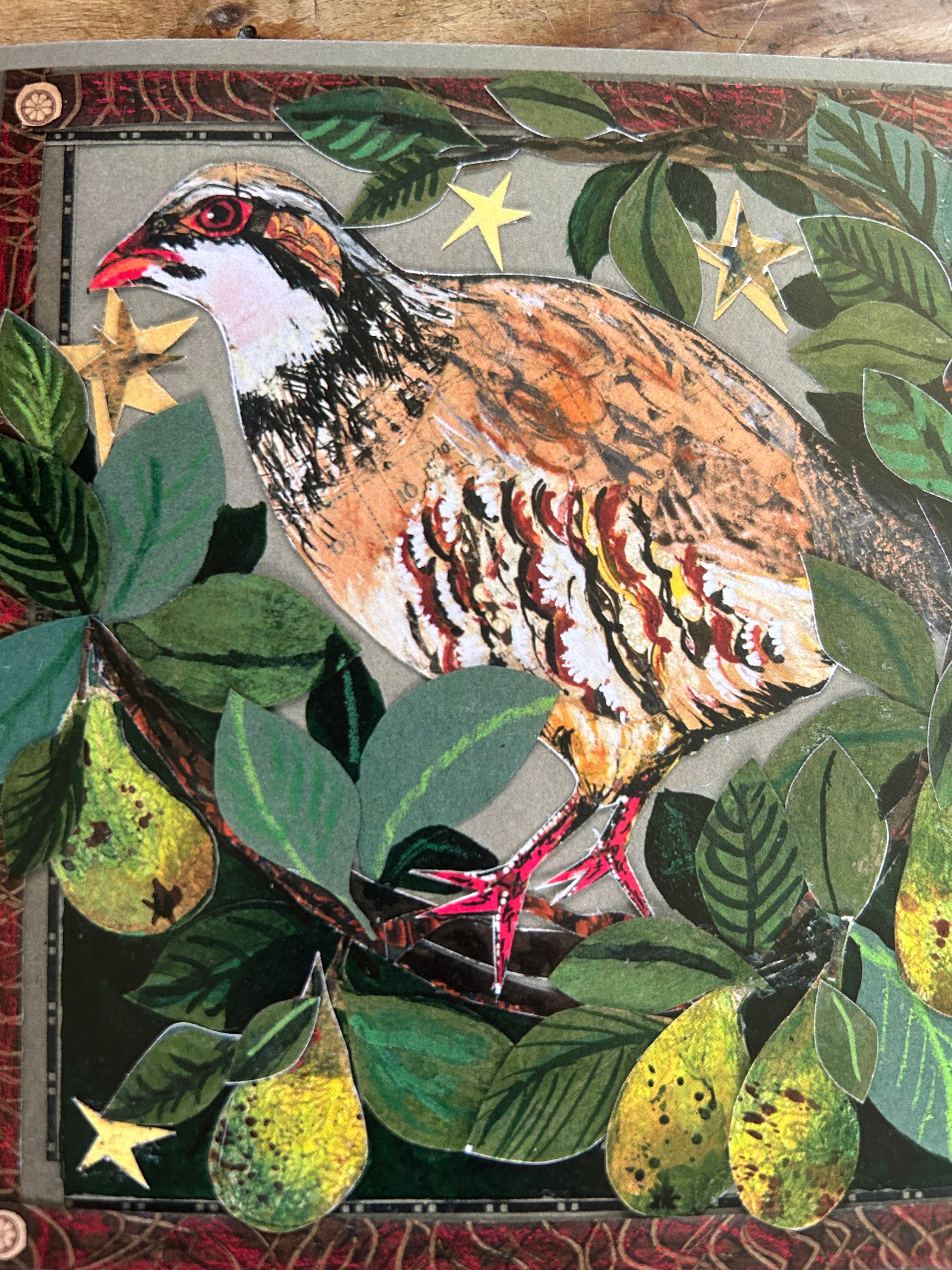 Partridge in the pear tree blank Greeting Card