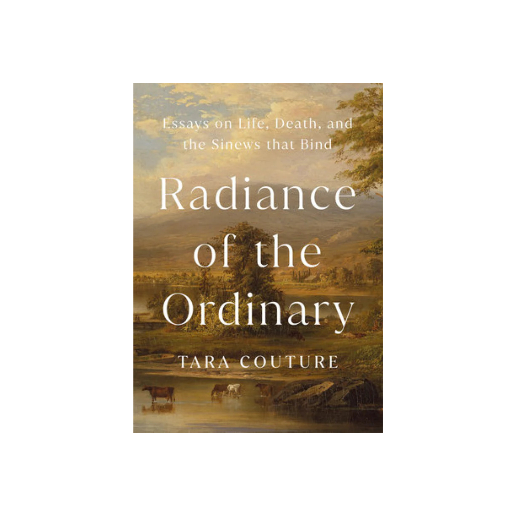 Radiance of The Ordinary