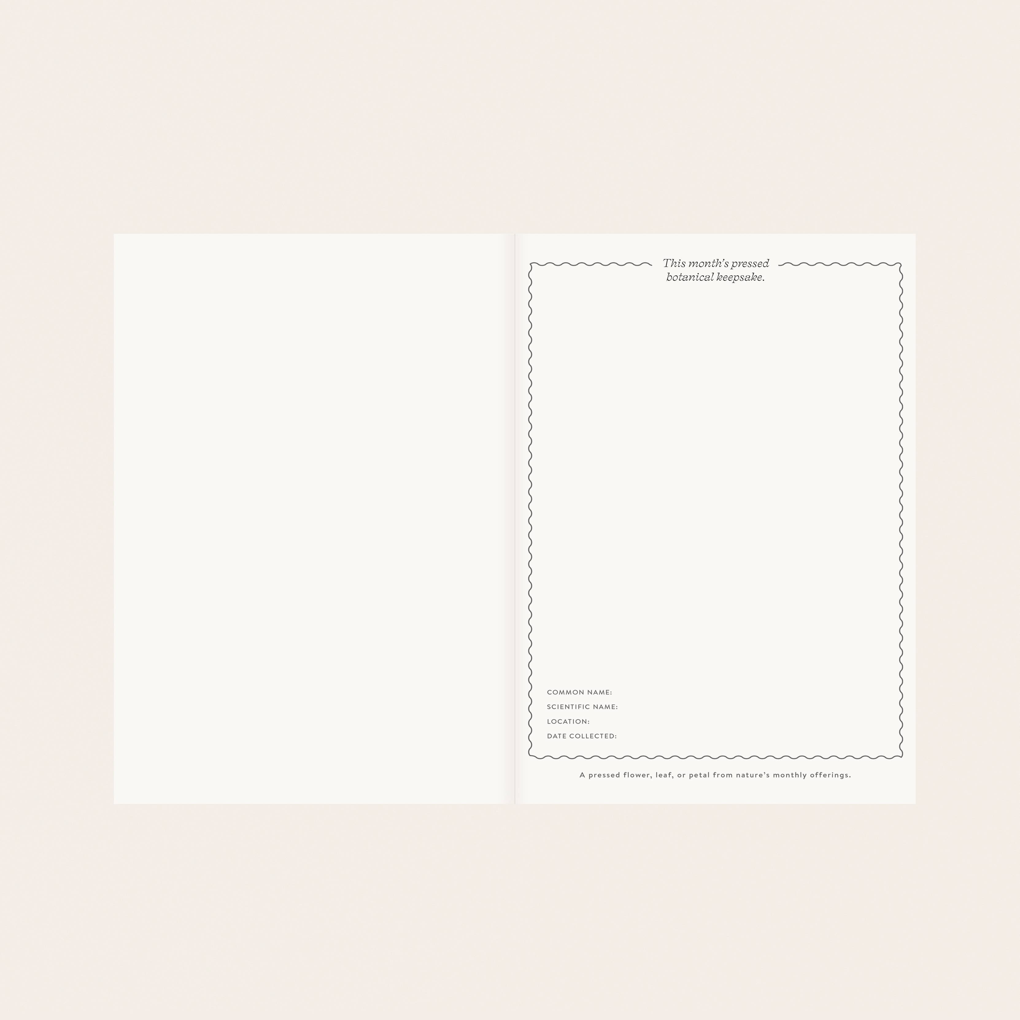 HERBARIUM | LINEN-BOUND UNDATED PLANNER