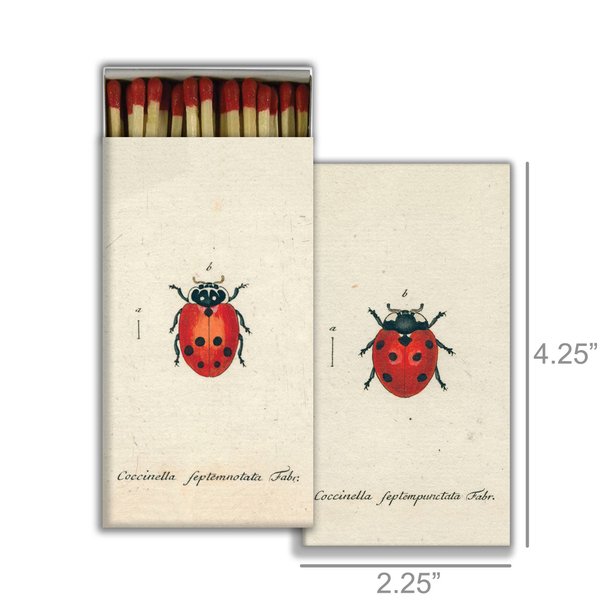 Matches - Little Lady Bug & Red Lady Bug - Red
