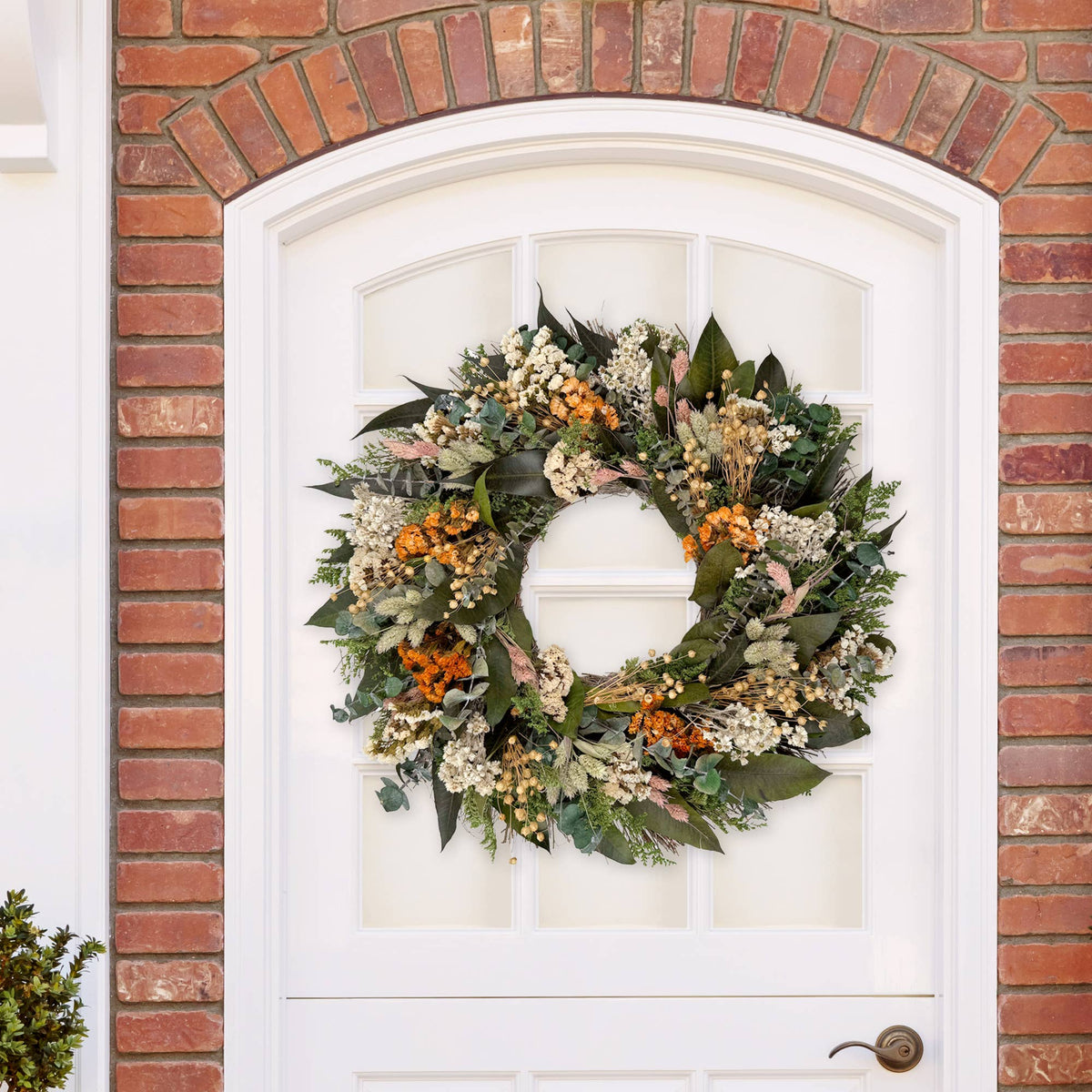 Saratoga Wreath