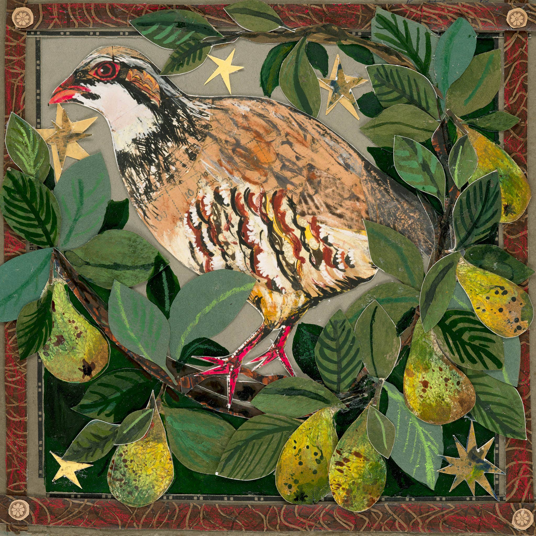 Partridge in the pear tree blank Greeting Card