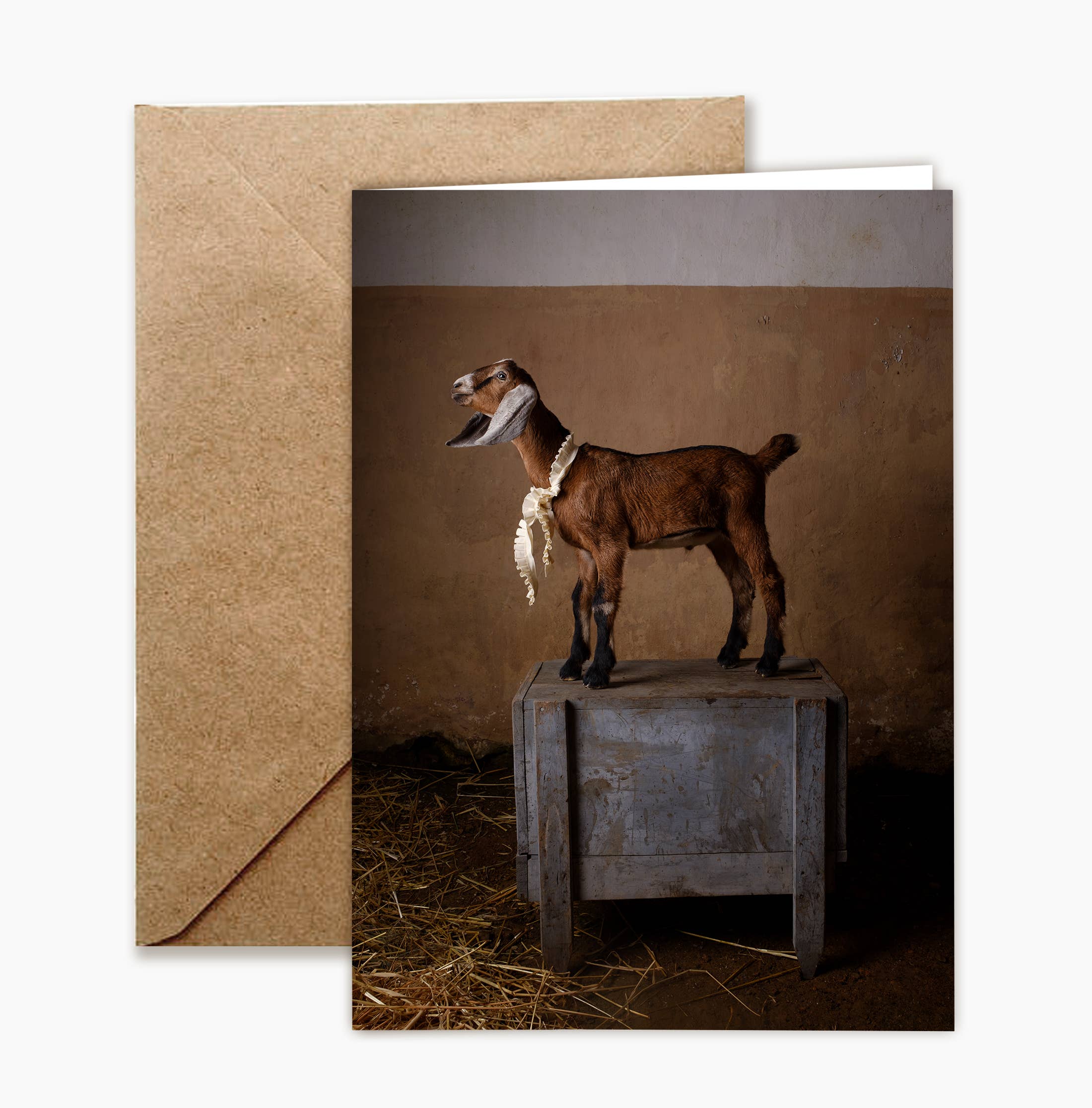 Persephone's Feast Notecard Set of 8