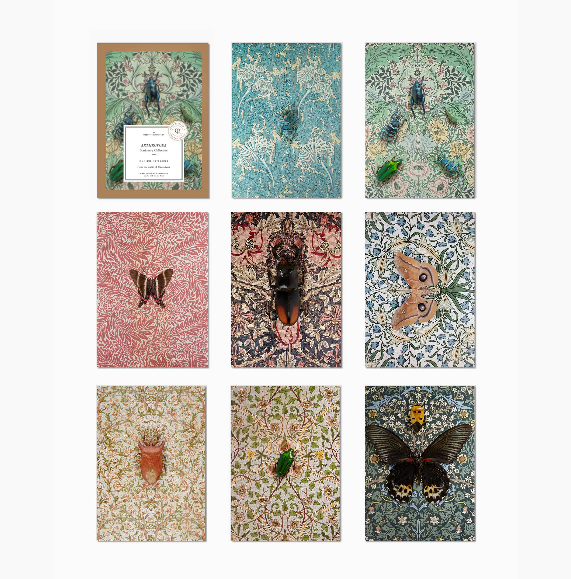 Insect Art Notecard Set of 8