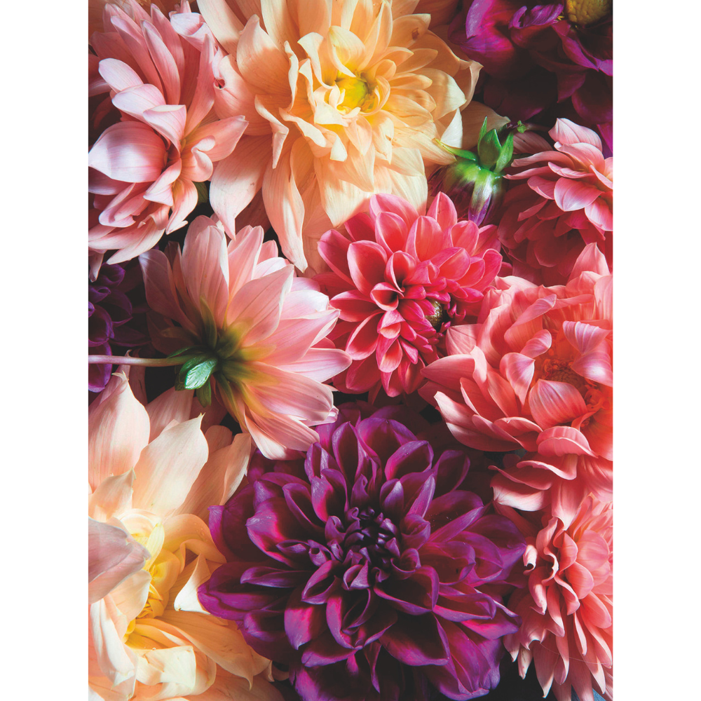 Eau de Toilette Midnight Dahlia