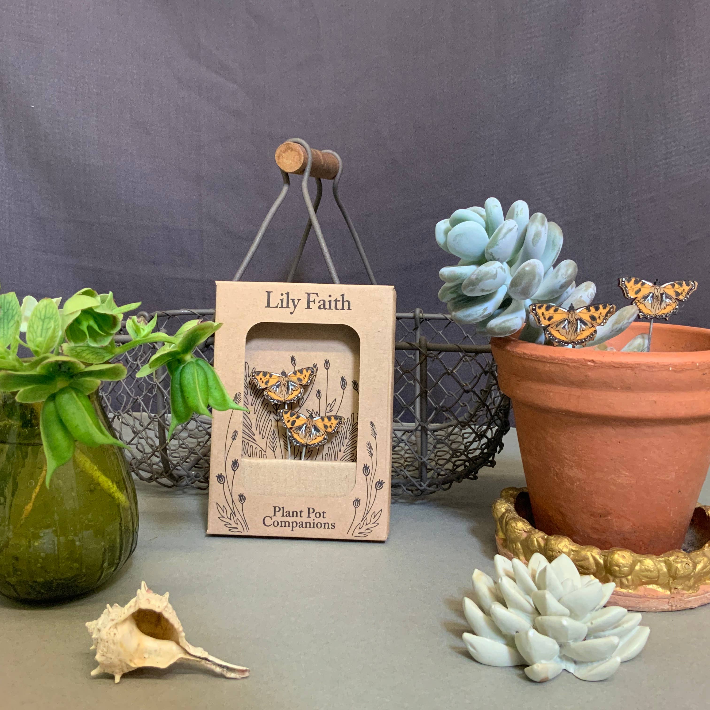 Tortoiseshell Butterfly Plant Pot Companions