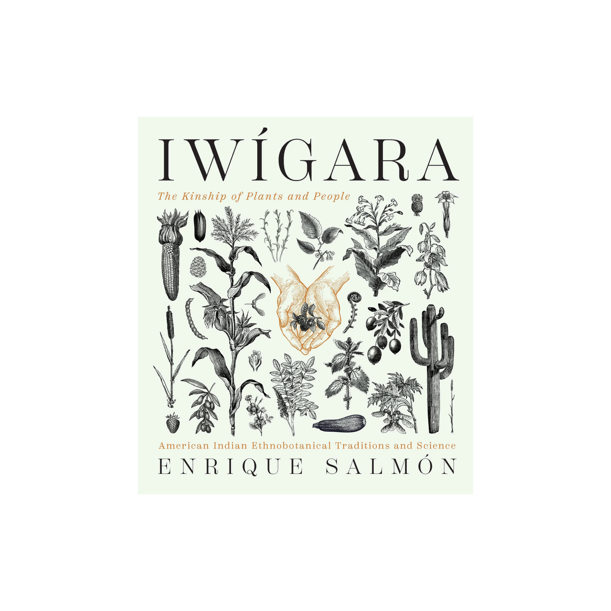 Iwigara
