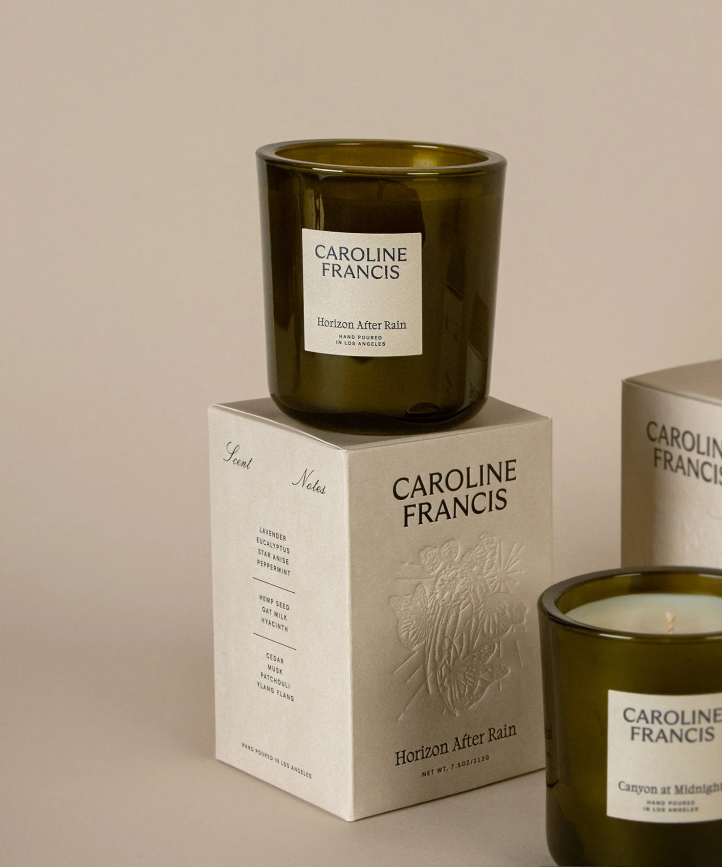 Horizon After Rain— Caroline Francis