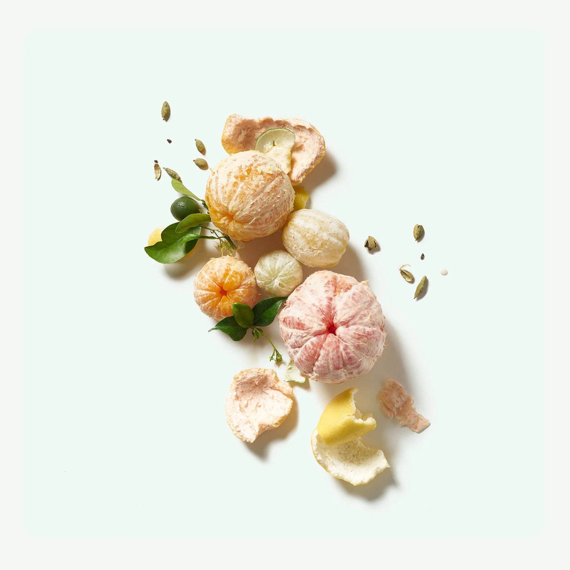 Natural Body Wash