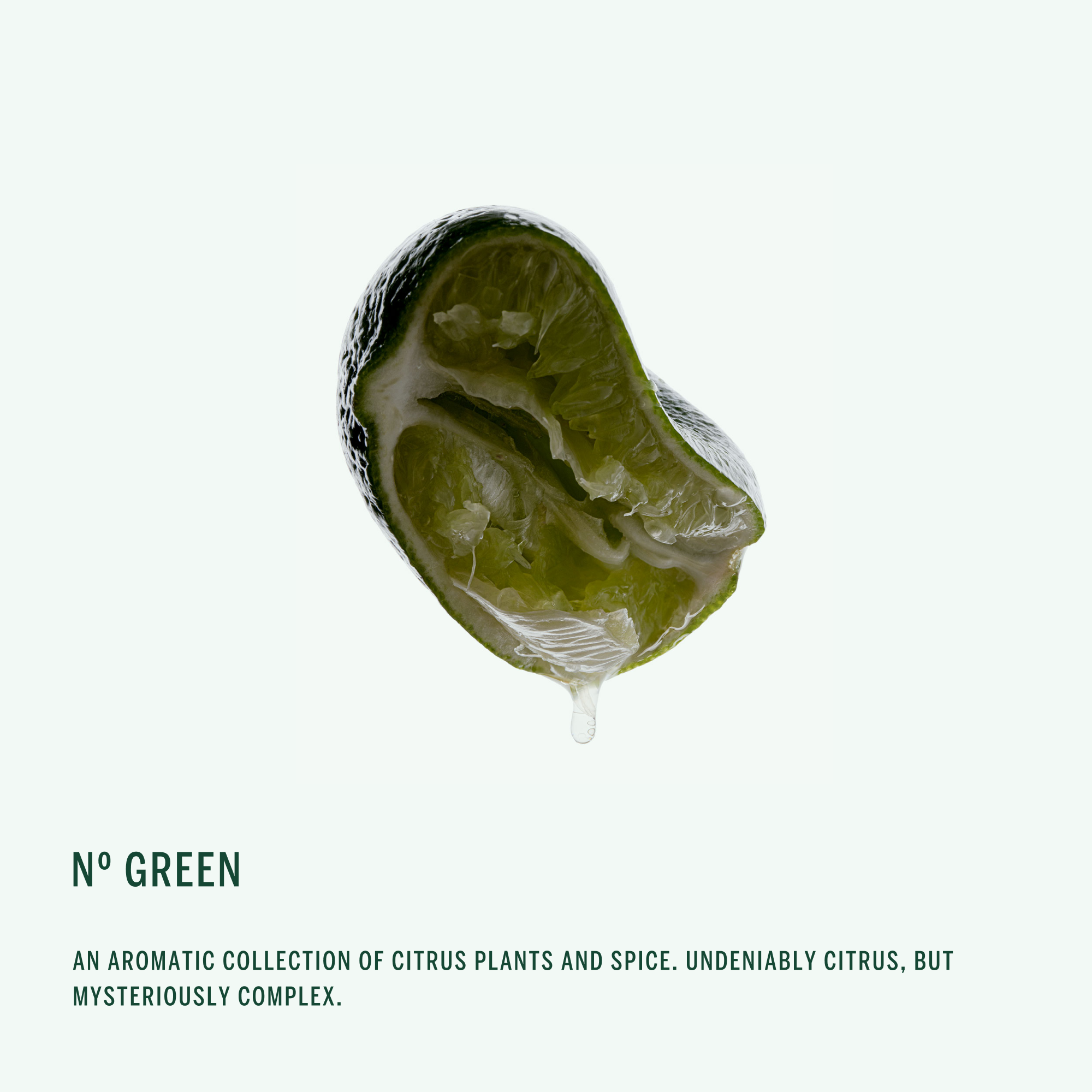 BODY BUTTER: Nº Green (2oz) - Bergamot, Orange Blossom