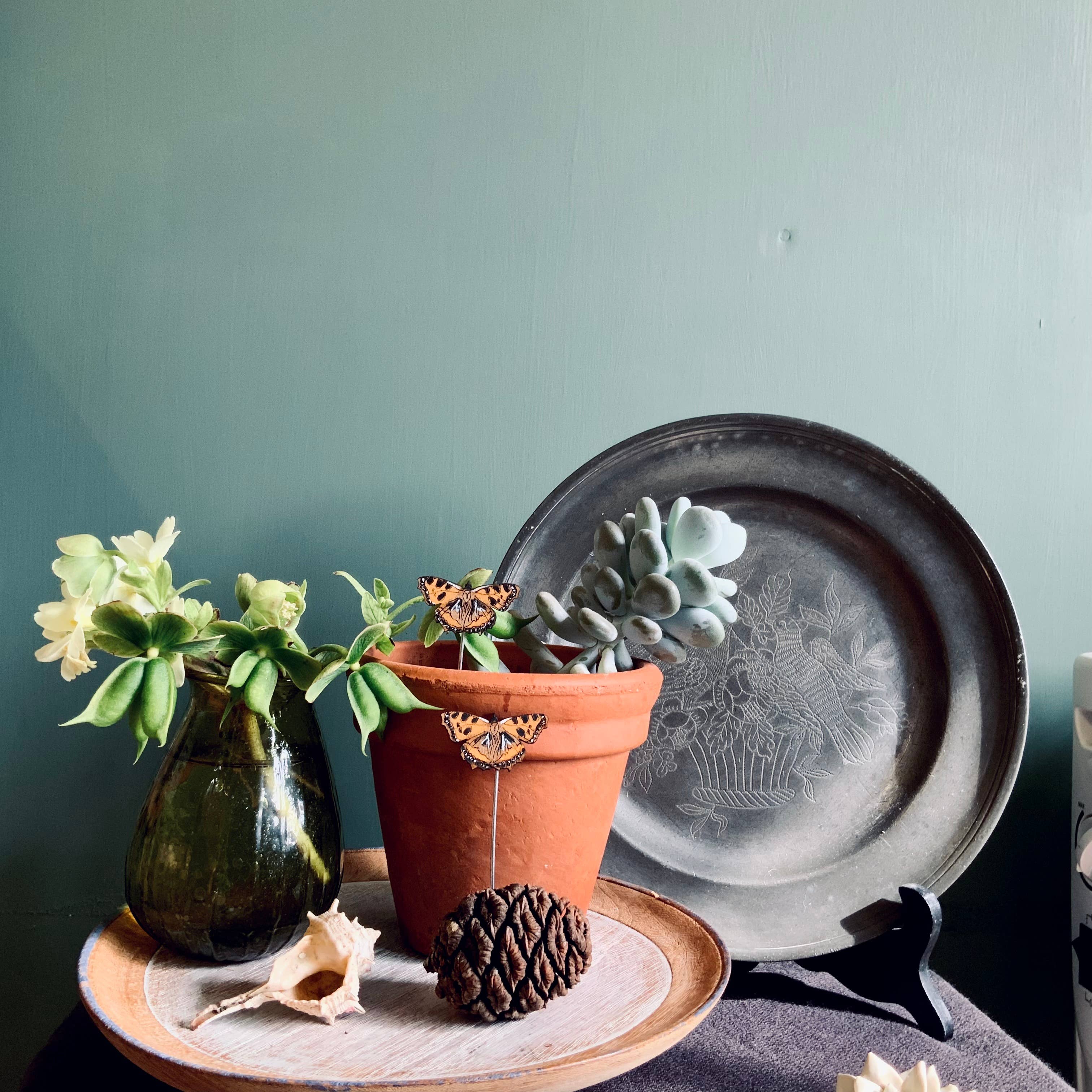 Tortoiseshell Butterfly Plant Pot Companions