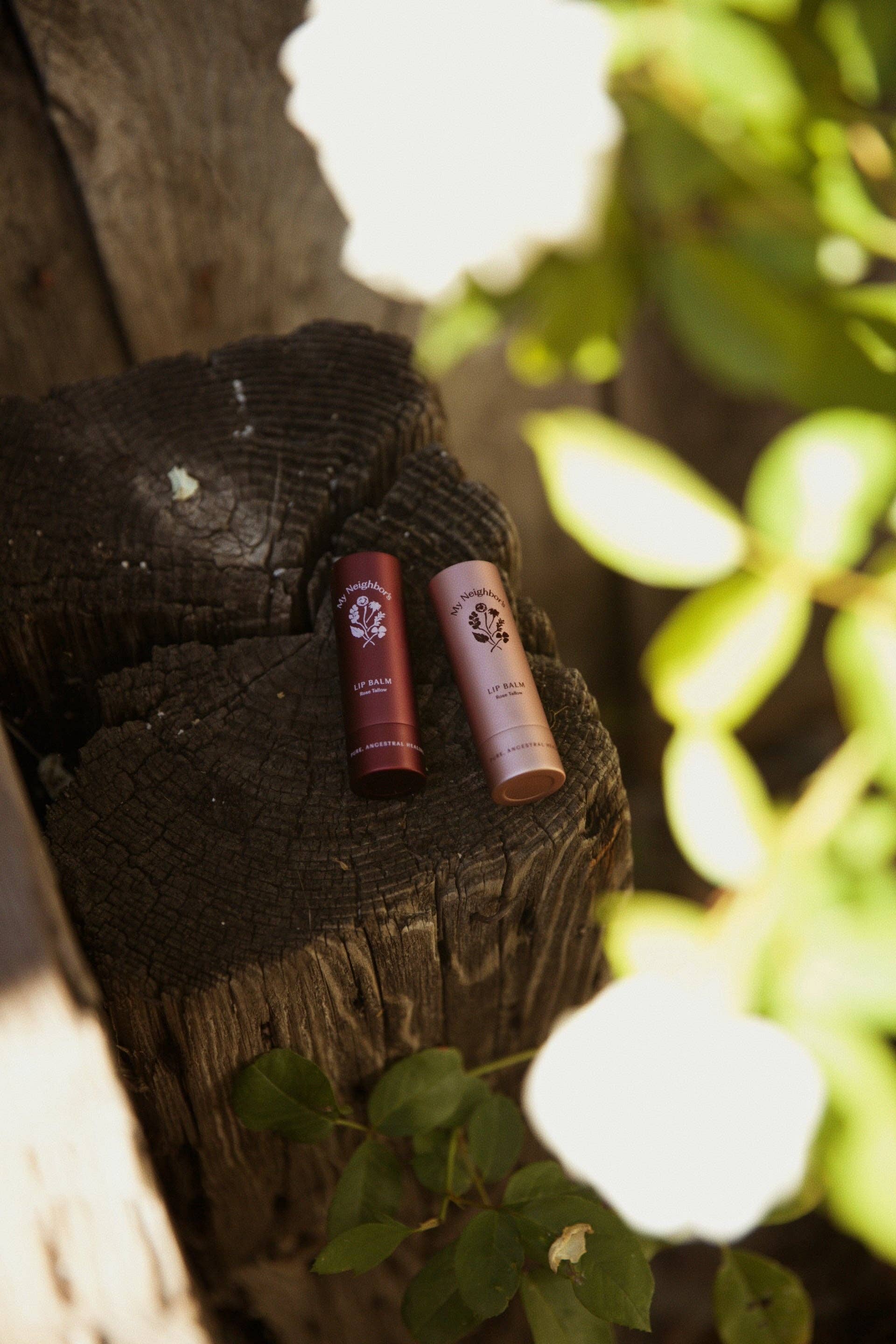 Rose Tallow Lip Balm (tinted)