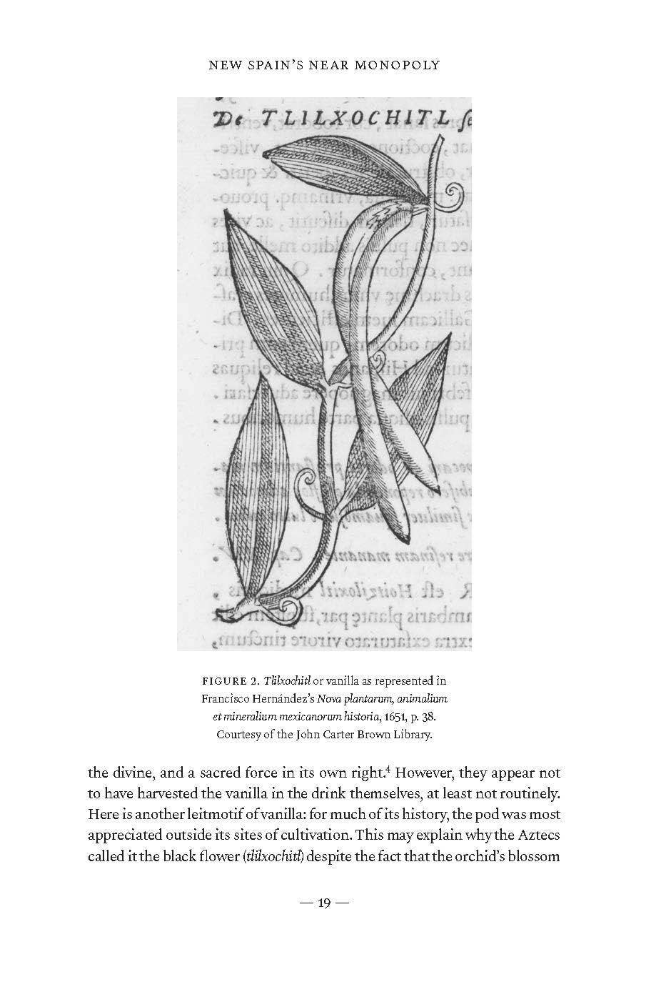 Vanilla: The History of an Extraordinary Bean